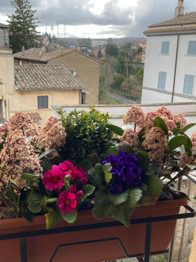 La Casetta Nel Granaio Capranica Exterior foto